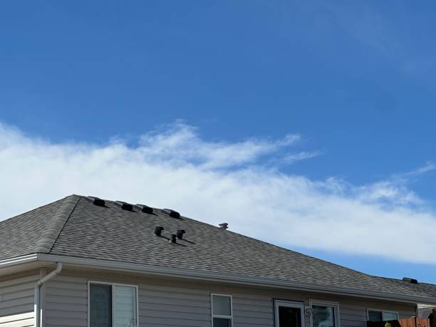 Best Asphalt Shingles Roofing  in Marillo, CA